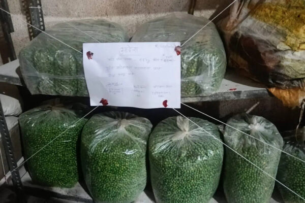 FDA seizes 16 tonnes of jaggery, 20 tonnes of sugar intended for adulteration, and 68 kg of fried green peas laced with artificial colours | Pune News