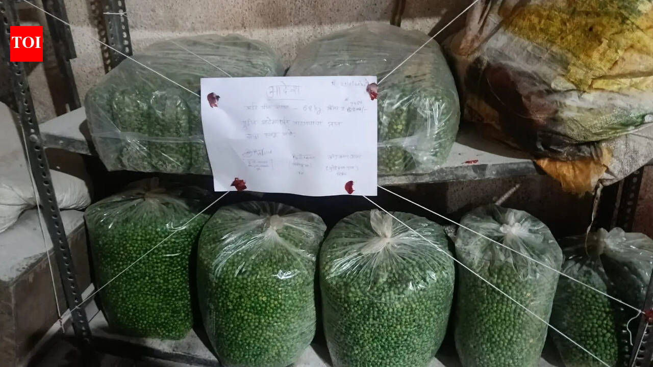 FDA seizes 16 tonnes of jaggery, 20 tonnes of sugar intended for adulteration, and 68 kg of fried green peas laced with artificial colours | Pune News