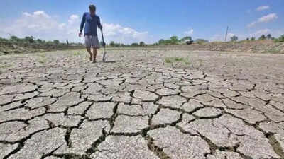 El Nino is here, says European agency amid Pacific warming | India News