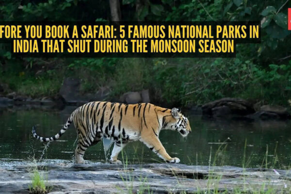 National Parks In India: Before you book a safari: 5 famous national parks in India that shut during the monsoon season