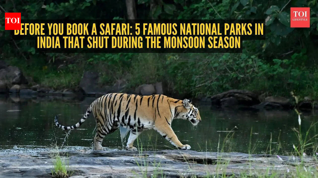 National Parks In India: Before you book a safari: 5 famous national parks in India that shut during the monsoon season
