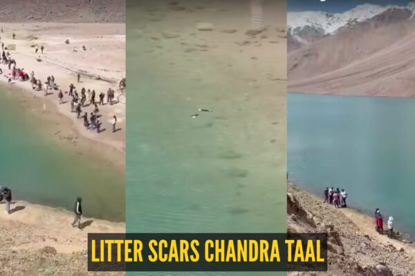 Chandra Taal: “Zabardasti ganda karne ki aadat hai logon ki…"; tourists turn Spiti’s Ramsar-listed Chandra Taal into a littering ground