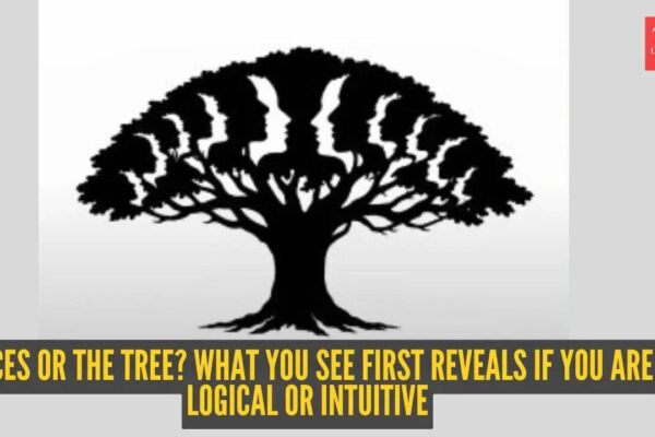 Optical illusion personality test: Faces or the tree? What you see first reveals if you are logical or intuitive |