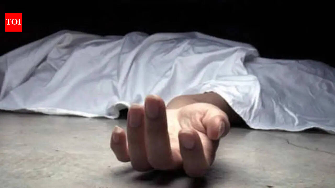 'Repeatedly humiliated me': Pune techie hangs himself; FIR against 2 colleagues | Pune News