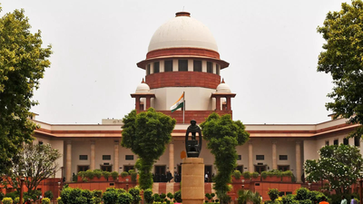 'You are nobody': SC rebukes 'so-called RTI activist', refuses anticipatory bail | India News
