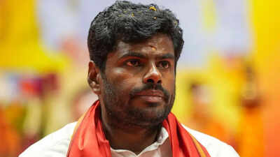 'Increase in crimes involving North Indians': K Annamalai demands stricter checks on migrants | India News