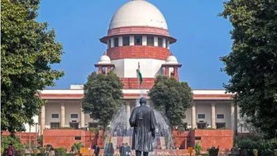 'Give ex gratia or we'll set it': Supreme Court to Ghaziabad hospitals in rape-killing case | India News
