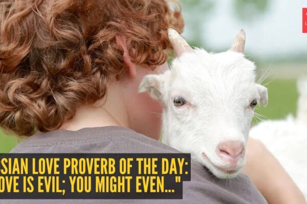 Russian love proverb of the day: "Love is evil; you might even..." |