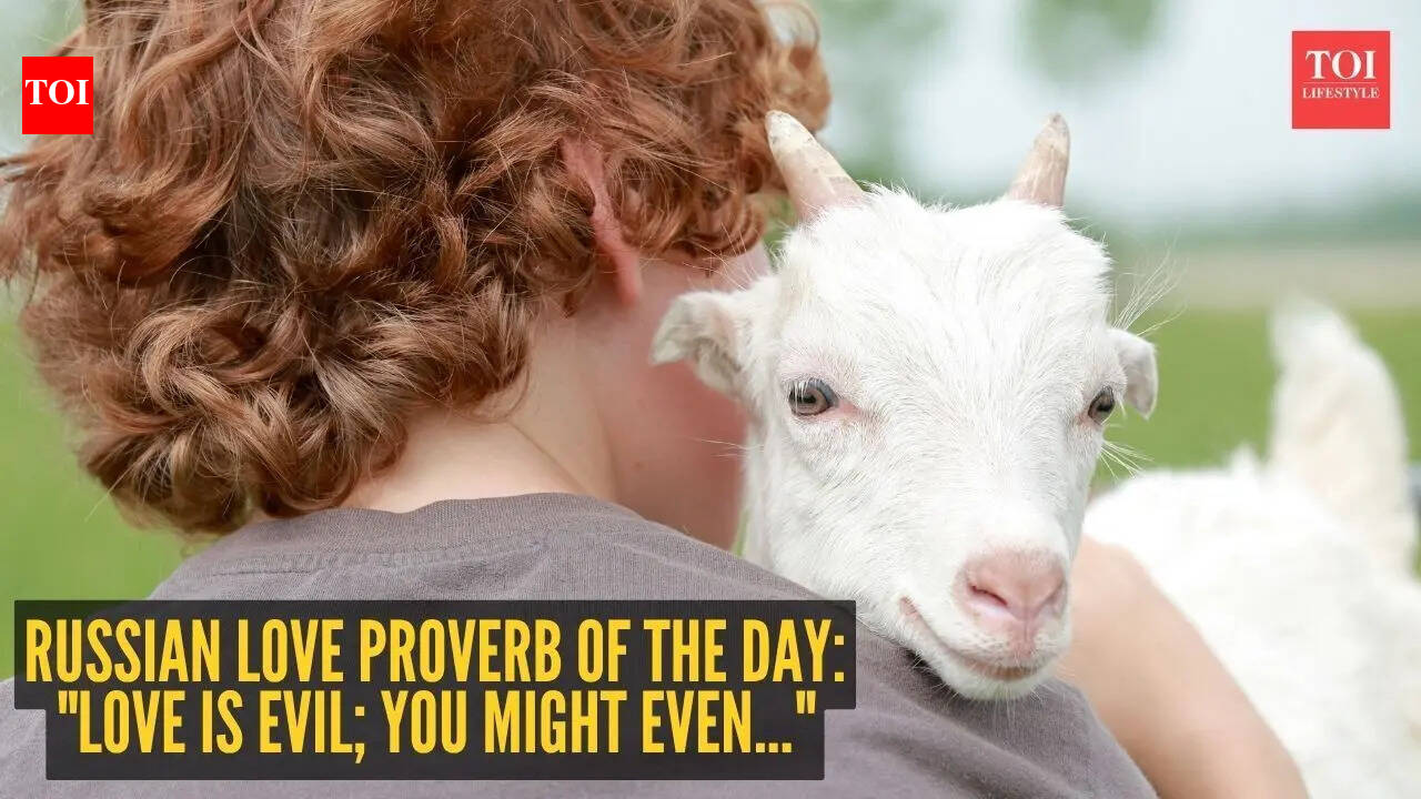 Russian love proverb of the day: "Love is evil; you might even..." |