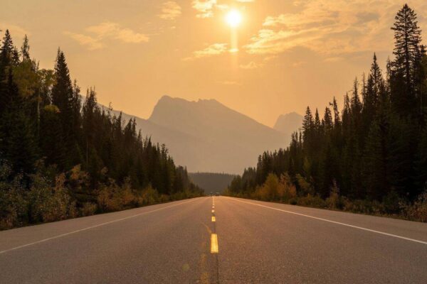 How road trips can help you disconnect from routine and improve well-being, according to Science |