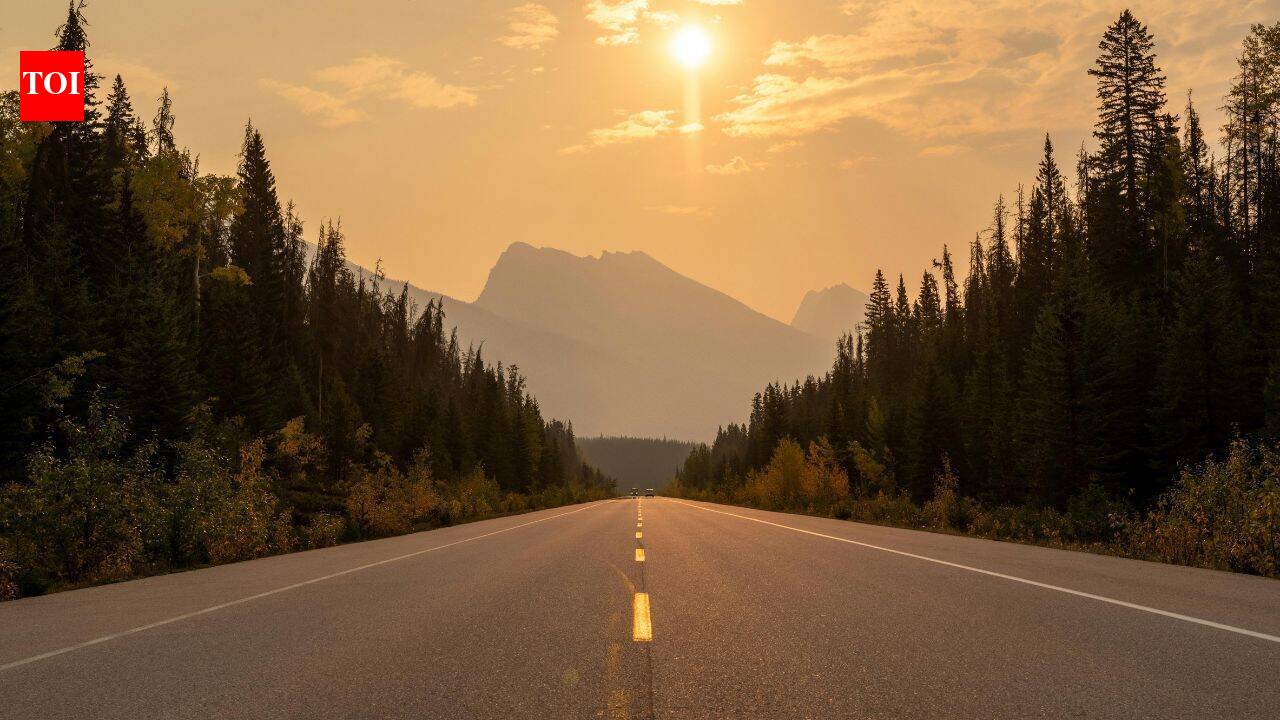 How road trips can help you disconnect from routine and improve well-being, according to Science |