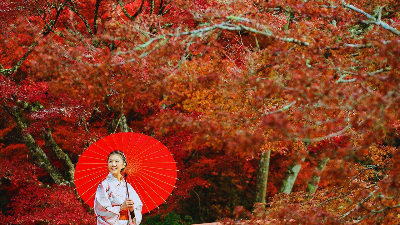 Japan Visa Fee Increase: Japan to increase foreign entry Visa fees from July 1: What it means for Indian travellers