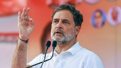 'Rahul owes nation explanation': BJP says IAF support tender for 36 Rafales exposes Pakistan propaganda | India News