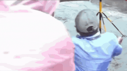 Watch: Mumbai mayor inspects flood-hit Gandhi Market, BMC staffer falls into pothole right in front of her | Mumbai News