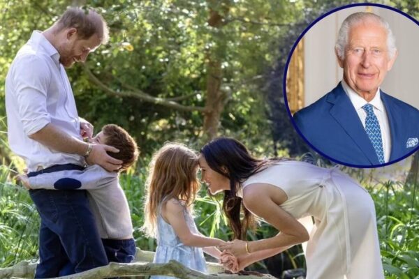 Prince Harry fears his children might not meet King Charles after police protection was rejected at the last minute |