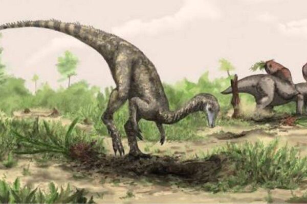 Before anyone knew dinosaurs existed, a man found one of their bones and thought it belonged to a giant elephant