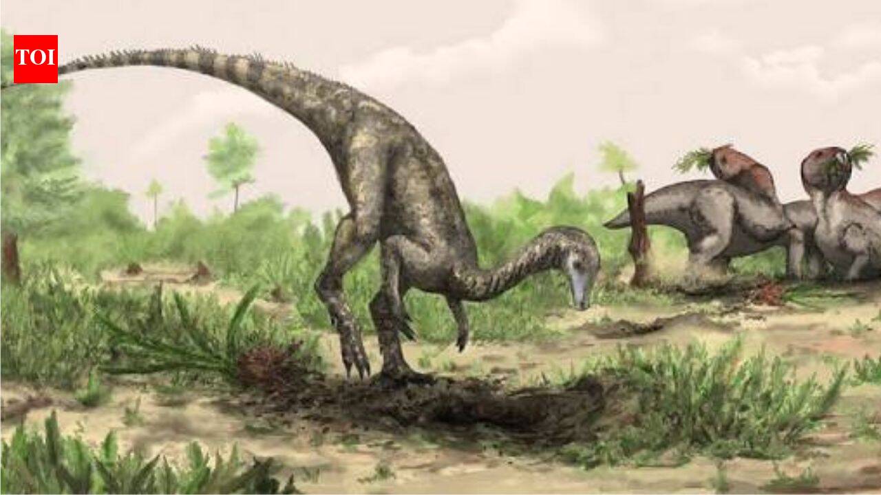 Before anyone knew dinosaurs existed, a man found one of their bones and thought it belonged to a giant elephant