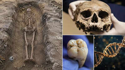 400-year-old burial in Finland uncovers a man whose bones, DNA, and teeth tell conflicting stories |