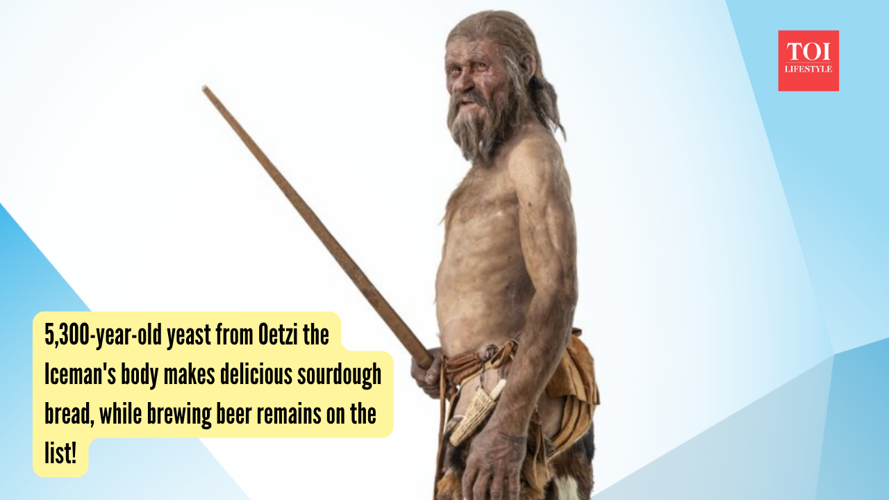 Oetzi The Iceman: 5,300-year-old yeast from Oetzi the Iceman's body makes delicious sourdough bread, while brewing beer remains on the list!