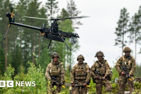Delays to government's defence plan undermine UK credibility, MPs say