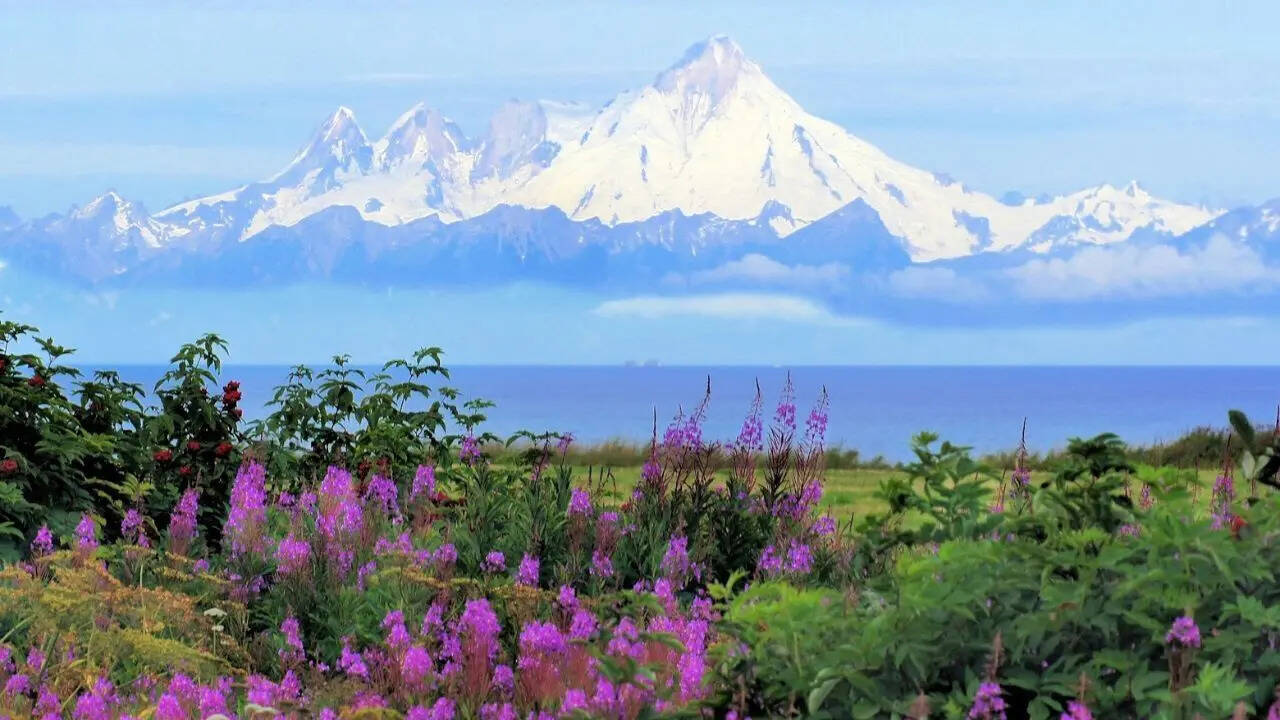 This state in the U.S. has the most active volcanoes; no it's not Hawaii