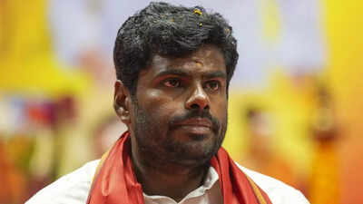 Annamalai parts ways with BJP: What may have led to exit of its most prominent Tamil Nadu leader | India News