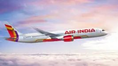 Air India launches 'basic fare' option without complimentary meals on select domestic flights