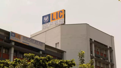 LIC weighs foray into fintech space, strategic investment on table