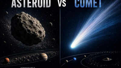 Asteroid vs Comet: Comparing their origins, structure and journey through space |