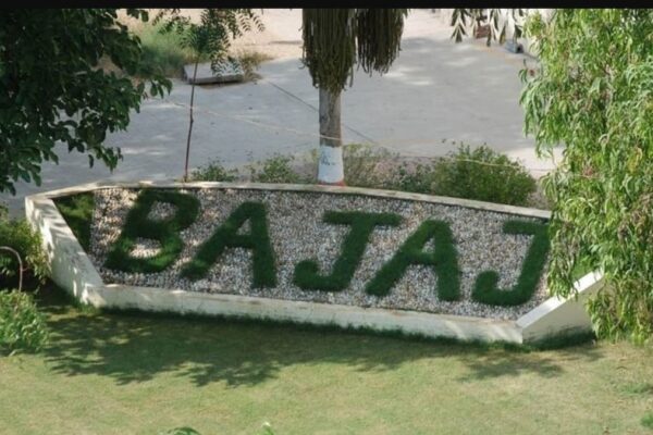 Bajaj Healthcare becomes first in India to get SEC recommendation for Cenobamate tablets