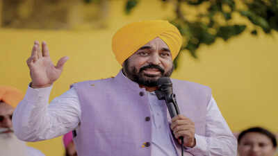 'Not Bhagwant Mann': AAP cites '1,191 different angles' to defend Punjab CM in 'sacrilege' row | India News