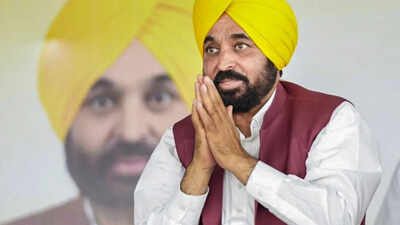 Punjab Aims to Be India's Startup Capital: Bhagwant Mann's Vision | India News