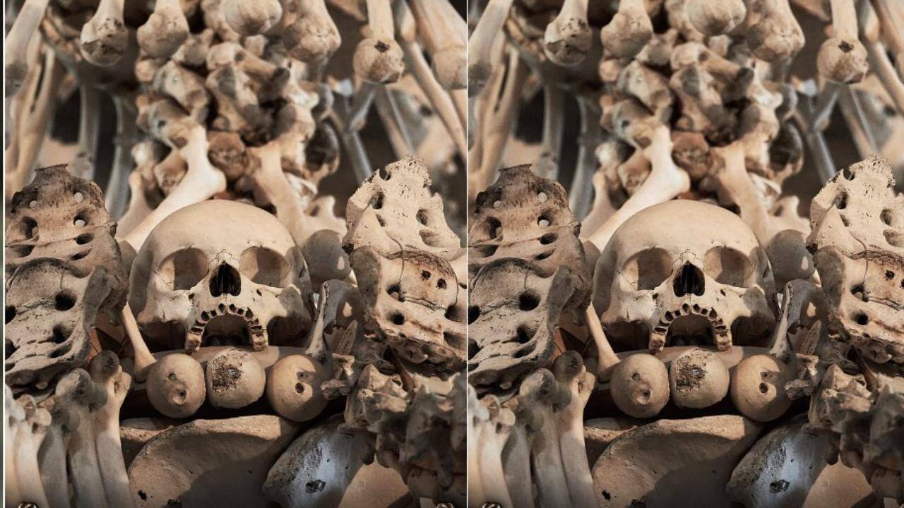 Sedlec Ossuary Church: This unique church in Europe is decorated with the bones of up to 70,000 people; here's how curious travellers can visit