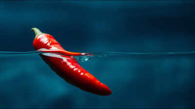 Burmese proverb of the day: "A real chilli, seven fathoms under water, will still taste hot" reminds us how true character shines through all situations