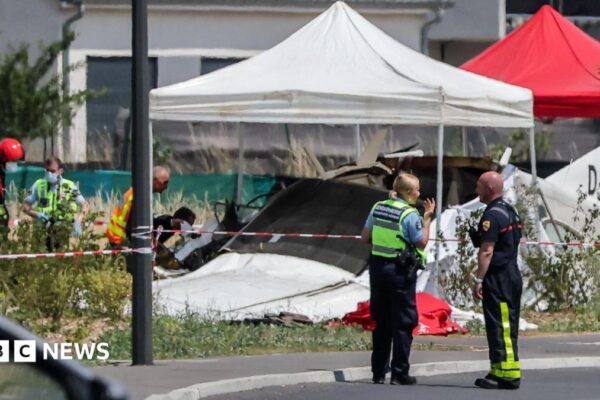 Eleven killed after plane carrying skydivers crashes in eastern France