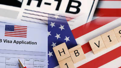 New bill by Chip Roy targeting H-1Bs seeks to end lottery, OPT: Put America's white-collar workers first