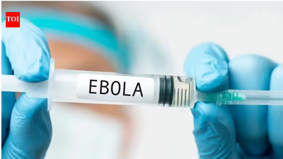 Saudi Arabia imposes travel ban on 3 African countries, halts visas over Ebola concerns | World News