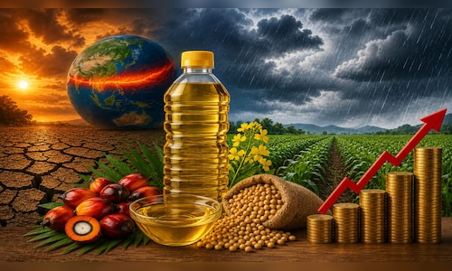 Edible oil prices may stay firm for next six months: Gemini Edibles CEO