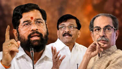 Rs 50 crore each? Meet 6 MPs who could decide the fate of Uddhav Thackeray's Shiv Sena | India News