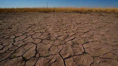 El Niño here, 63% chance it will be super strong: US