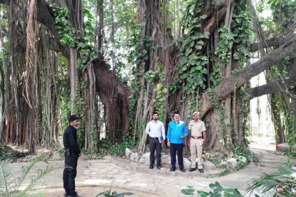 700-year-old Munger banyan tree gains global scientific significance | Patna News