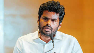'Will talk in 2 days': BJP leader K Annamalai on speculation over new party in Tamil Nadu | India News