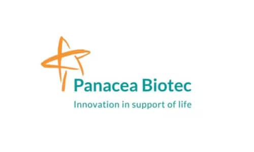 Panacea Biotech shares up 56% in six sessions; Here are the latest developments