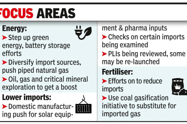 Govt starts wor﻿k on steps to increase domestic resilience