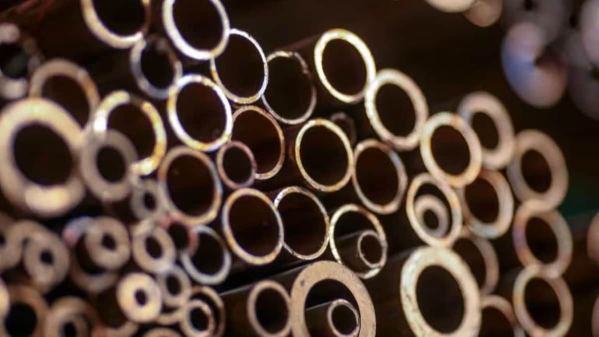 Hindustan Copper gets forest clearance for Chandmari copper mine in Rajasthan