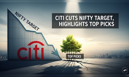 Nifty 50 target cut by Citi to 26,000 - Key risk factors, top picks explained