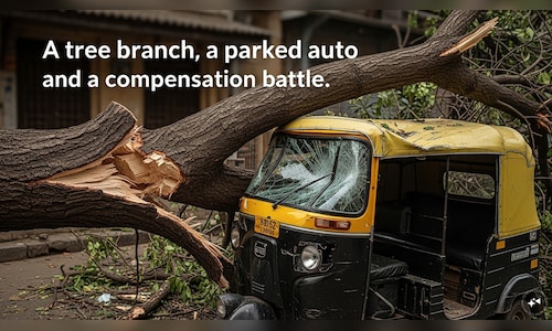 A tree branch, a parked auto and a compensation battle: What the Supreme Court ruled