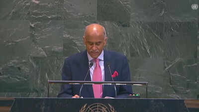 'J&K Integral to India': India Slams Pakistan at UN | India News
