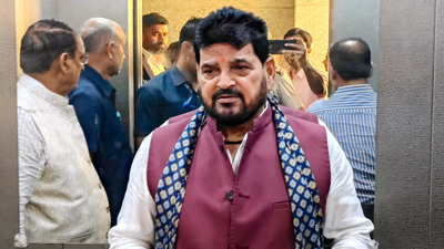 Brij Bhushan on Ram temple fund row: 'If I speak the truth, I will get into trouble' | India News