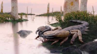 Meet the dog-sized scorpion that may have been Britain’s top predator 415 million years ago, long before dinosaurs |